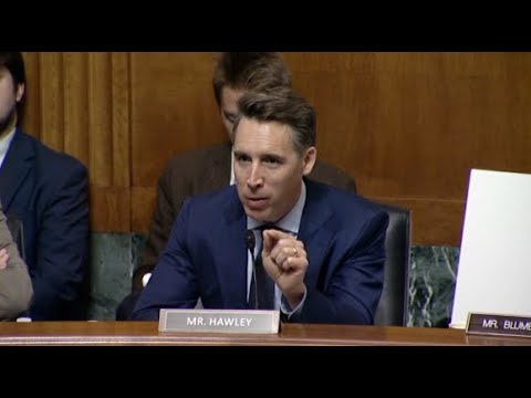 Hawley Talks Age Verification, Jobs, China As Co-Chair Of Judiciary Subcommittee Hearing On AI