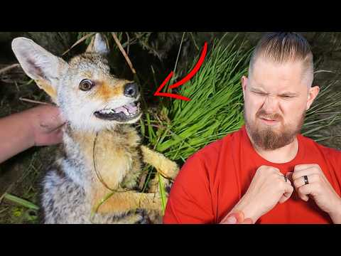 Florida's Craziest Barehanded Wildlife Guy!!!