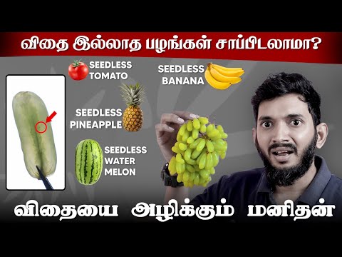 விதை இல்லாத பழங்கள் உருவாவது எப்படி? வாழைப்பழத்திலும் விதை இல்லையா?😲😲| Reality of seedless fruits..