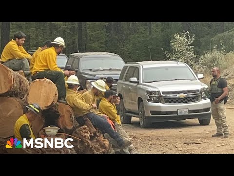'F---ing crazy': ICE swoops in on firefighters IN THE MIDDLE of battling wildfire