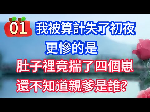 《一胎四宝01》我被算計失了初夜，更慘的是，肚子裡竟揣了四個崽，還不知道親爹是誰？#戀愛#婚姻#情感 #愛情#甜寵#故事#小說#霸總
