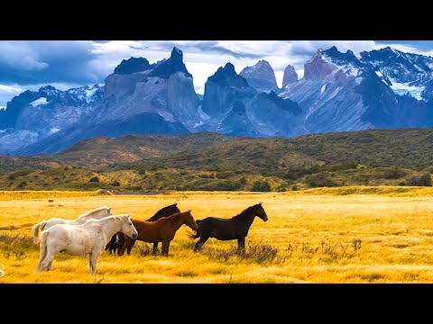 Relaxing Celtic Music: Fantasy Music, Beautiful Music, Relaxing "The World's Mountains" by Tim Janis