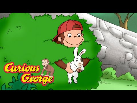 George Meets A New Animal Friend π΅ Curious George π΅ Kids Cartoon π΅ Kids Movies