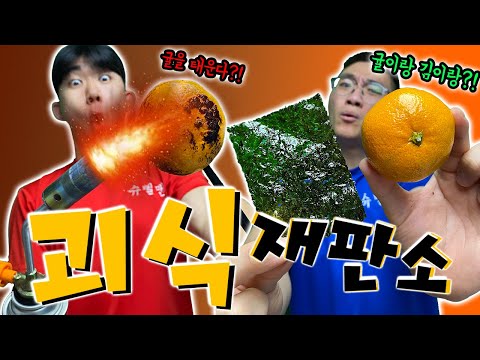 귤을 불로 태워서 먹어?! 김에 싸먹어? 이건 아니잖아!!! [괴식재판소 16탄]