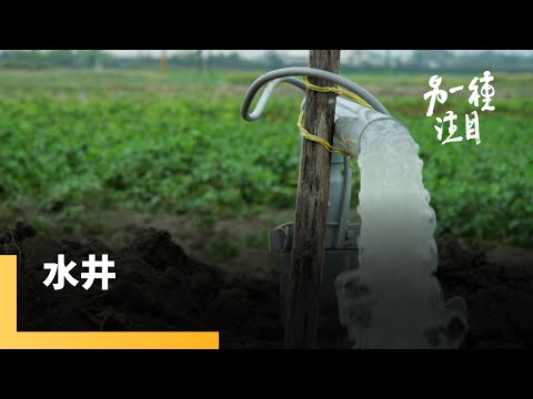 《水井》雲林縣水井村　記錄僅存鑿水井的人｜另一種注目 #鏡新聞