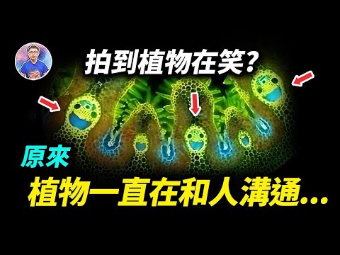 植物是有意識的！萬物有靈的最強證據！【地球旅館】