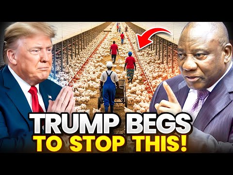 South Africa STUNS Washington with $450 Million Chicken Import Ban!