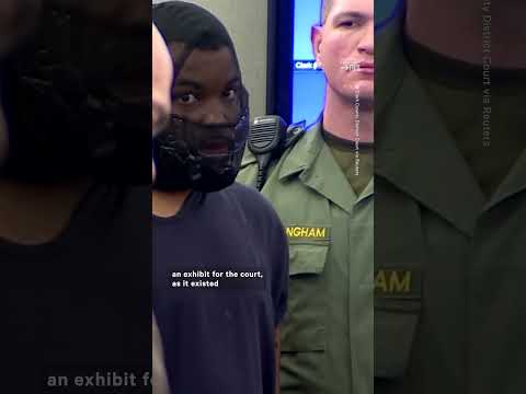 Man Who Lunged at Judge in Viral Video is Back in Court, Same Judge And All