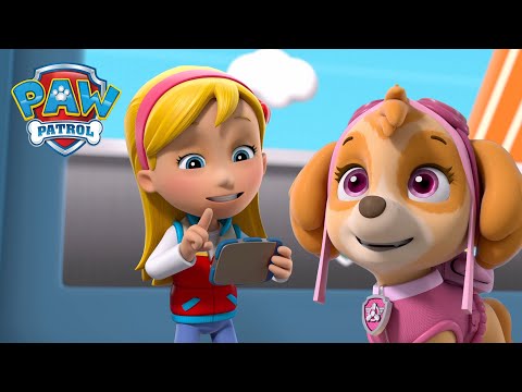 凱蒂帶領汪汪隊阻止淘氣小貓!🐱還有更多精彩故事！ - PAW Patrol 汪汪隊立大功 - 兒童卡通