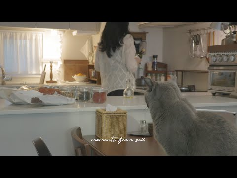 A Cozy Weekend Routine | Cleaning, Kimchi Stew & Homemade Pickles, Cat Care Day, Korea Vlog