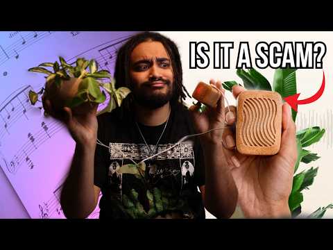I Investigated The Box That Can Turn Plants Into Musicians