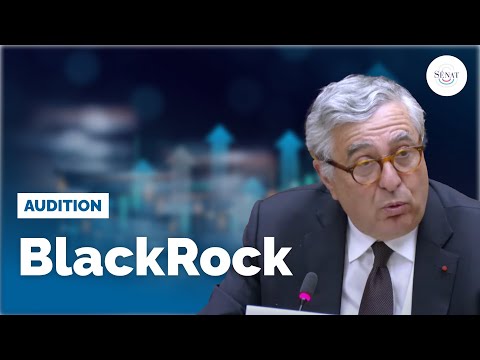 Aides aux grandes entreprises : audition de BlackRock