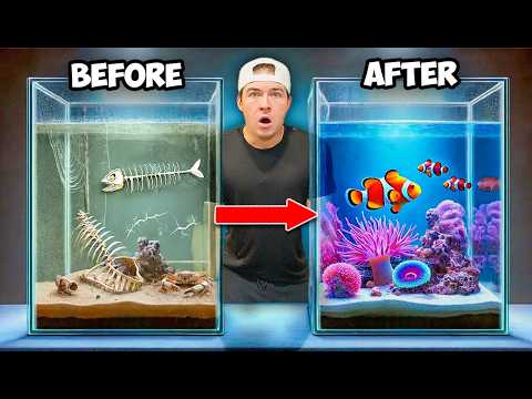 Transforming Abandoned Aquarium Into A Saltwater Reef