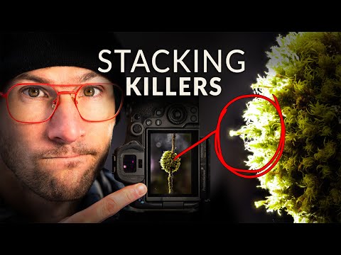 Macro Focus Stacking: Why It Fails (and What to Do Instead)