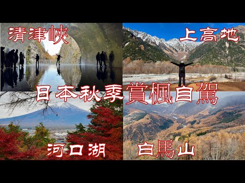 2025日本秋季最震撼自駕賞楓路線精選🍁🚗｜10天跑遍關東, 中部之最美楓葉名所｜上高地、清津峽隧道、白馬村、河口湖、富士山....完整紀錄