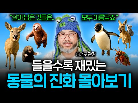 자기 전에 들으면 동물들과 역사 여행을 떠나게 되는 이야기들 (숙면 권장 ASMR 몰아보기) | 과학정모 몰아보기