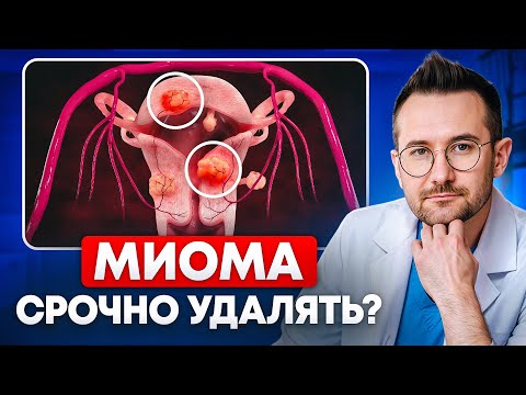 DON'T FOOLED! When should and shouldn't uterine fibroid removal be performed?