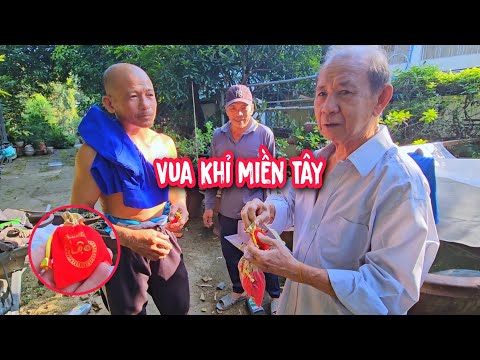 Bất Ngờ !! Vua Khỉ nhận được món quà Tết cực kì ý nghĩa khi cưa hạ gốc cây Mận ở Biên Hòa, Đồng Nai.