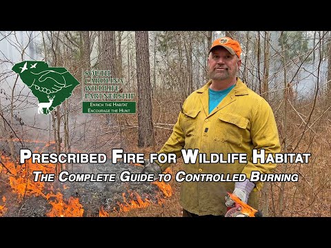 Prescribed Fire for Wildlife Habitat: The Complete Guide to Controlled Burning