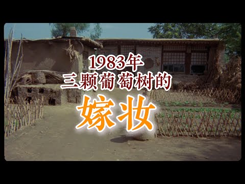 In the 1980s, the most valuable thing in rural China wasn't the bride price, but the courage to b...