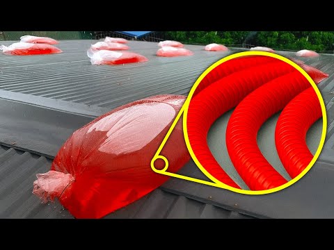 NEVER Throw These 10 Things Away — Hidden Secret Uses You Weren’t Told About!