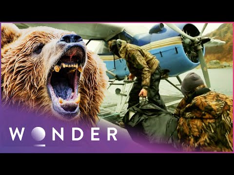 Island Air Saves Campers From Grizzly Bears | Alaska's Ultimate Bush Pilots Series | Wonder