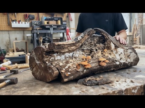 From Rotten Wood to Stunning Art: You Won’t Believe This Transformation!