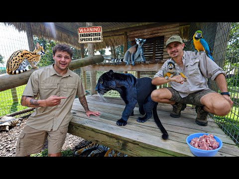 Exploring the MOST DANGEROUS Private Backyard ANIMAL COLLECTION!!