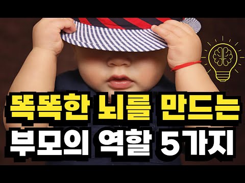 [육아] 상위 0.1% 영유아기 아이의 사회성과 뇌를 똑똑하게 만드는 부모역할 5가지ㅣ똑똑한 아이로 키우고 싶다면