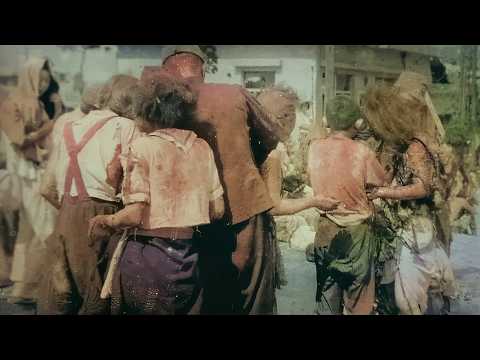 Hiroshima: The Day the Sky Fell | Multilingual documentary