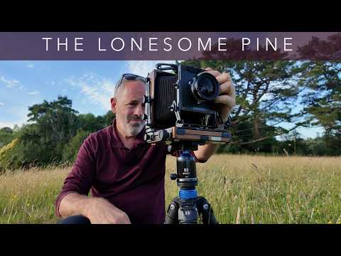 The Lonesome Pine | 4x5 Large Format Photography.