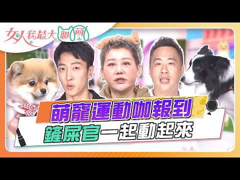 萌寵運動咖報到 鏟屎官一起動起來 女人我最大 20240207 (完整版)｜卞慶華、徐凱希、張哲偉、邱慧雯、余祥銓、Jack 、 喬巴