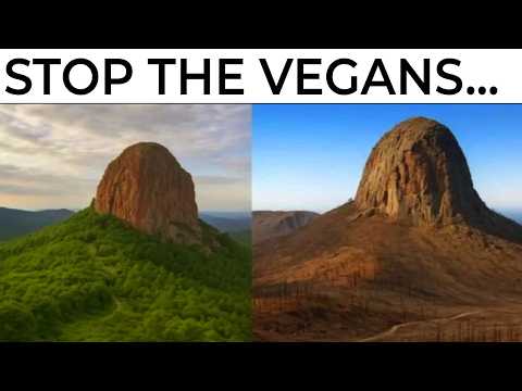 Vegan Memes