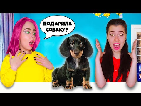 WE BOUGHT A DOG! My Sister and Friend Are Shocked | VLOG #25