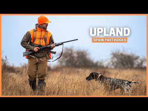 Winter Upland Partridge Hunting with Pointing Dogs | A Family Tradition