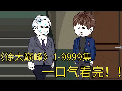 一次机会，开启我的仕途路！！《徐大巅峰》1-9999集一口气看完！！#一口气看完 #动画