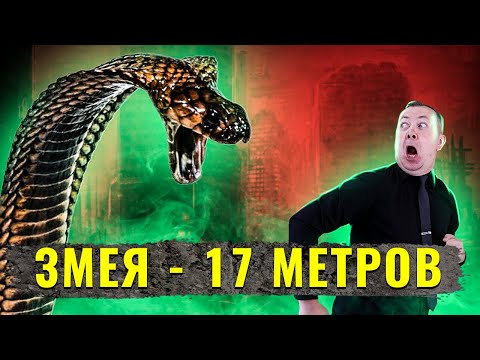 Что, если бы гигантская змея Титанобоа не вымерла?