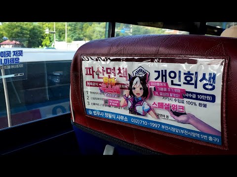 Bankruptcy Discharge Personal Rehabilitation Uma Musume [Funny Meme Collection]