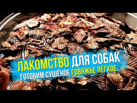 Сушёное говяжье лёгкое для собак своими руками в сушилке для овощей и фруктов