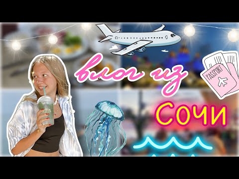 влог из сочи 🪼🏖️ две недели в адлере 🔥 путешествие ✈️ / vlog / отдых / ствикса / stviksa