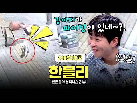 한블리 (한문철의 블랙박스 리뷰) 130회 예고편 - 도로 위 아마겟돈 (with. 교통 천재 딘딘) | 6/17(화) 저녁 8시 50분 방송!