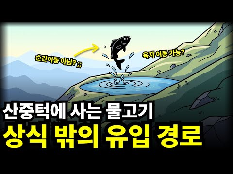 강줄기도 없는 산속 호수에 사는 물고기는 도대체 어디서 온 걸까?