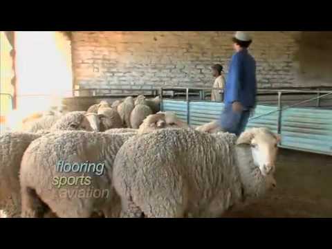 WOOL - A film by the International Wool Textile Organisation (IWTO)