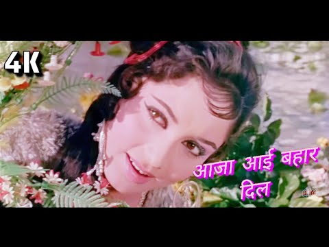 Lata Mangeshkar- เคเคเคพ เคเค เคฌเคนเคพเคฐ เคฆเคฟเคฒ เคนเฅ เคฌเฅเคเคผเคฐเคพเคฐ (4K) Song | Rajkumar | Sadhana, Shammi Kapoor | 90s Hit