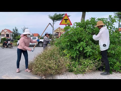 After we cleared the sidewalks, real estate prices suddenly skyrocketed