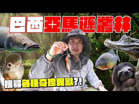 深入亞馬遜森林野外過夜！被不明生物咬到全身大過敏