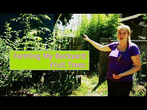 Farming My Backyard Tour - Fruit Trees - Mobile Minute