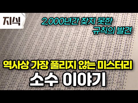 초등학생도 알고 있는 소수가 어떻게 수학 역사상 가장 풀리지 않는 미스터리가 된 것일까? #과학 #EBS지식