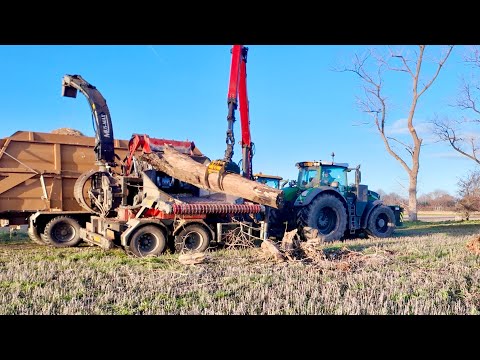 See how a 517hp wood chipper turns our waste into fuel for a local chicken farm