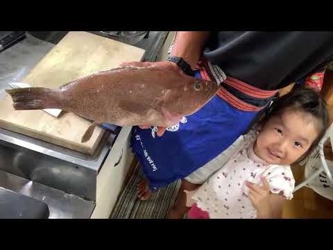 夕食ライブ 2025.10.19 熟成ハタ